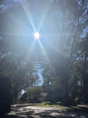 #florida #floridacheck #sun #genxtiktoker #family #happyplace #sunday #peace 