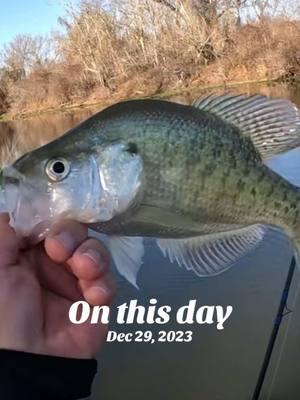 Catching Sacalait / Crappie with the KFRED Float Popper. #kendallfrederick #kfred #kfredseasoning #kfredfishfry #kendallfrederickonyoutube #kfredfloatpopper #kfredspinningreel #kfredjigs #crappiefishing #sacalait #fishing 