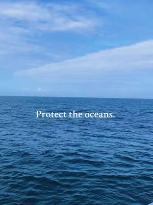 #savethewhales #protecttheocean #sealegacy 