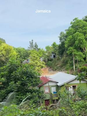 Christmas in Jamaica was everything and more!!! I’m so glad I could spend the holidays with my family and friends in our beautiful hometown Warsop. This was a quick recap and if you want to see the full experience check out my YouTube Channel for part 1 of Christmas in #Jamaica , part 2 will be out tomorrow morning #christmas #jamaicatiktok #jamaicantiktok #caribbean #travel #flightattendant #caribbeantiktok #cabincrew #trelawny #jamaicavlog #jamaicancreator #travelwithme #christmasinjamaica 