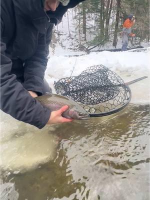 Some videos over the past couple of weeks I wanted to share. Winter has been a brutal one. Getting my butt kicked and feeling humbled lol. Soon here I hope the fishing gets better! Tight lines everyone 🦈✨ #flyfishing #womenflyfishing #adventure #flyfishingadventures #steelhead #creeksandcritters #like #follow #fyp #fishingvideo #fishing #womenfishing #girlsthatfish #womenoutdoors #steelheadfishing #steelheadonthefly 