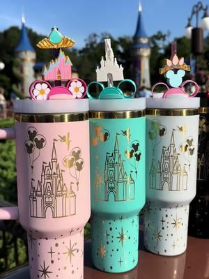 The perfect tumbler exists ✨ Our bestselling tumbler of 2025 is in stock and ready to ship! Shop now! 💕 #laserengravedtumbler #tumbler #40oztumbler #40oztumblerwithhandle #castles #disneycastle #magickingdom #magickingdompark #disneyworld #disneyland #cinderellascastle 