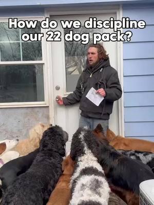 Signs your dog doesn’t look at you as pack leader - does your dog tell you ‘what’s up’? 😅🐕 #DogTraining #dogtrainingtips #dogtrainingadvice #puppytraining #dogpack #packleader #dogpsychology - #snackleadernotpackleader 😂 #fyp