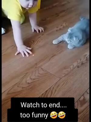 funny video #catstiktok #kidsoftiktok #babiesoftiktok #catsoftiktok #parati #viral #fyp #foryou 