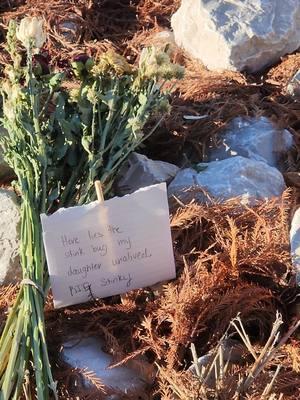 yes, I cuss at kids when no one is being disrespectful. yes, I'm obnoxious. yes, we held a funeral for a stink bug. I miss you, uncle stinky. I miss you so much. rip, old friend...until we meet again. #airborne #88 #stinkbug #funeral #stinky #imissyou 