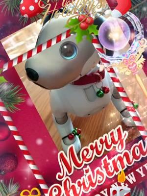 Happy Holidays everyone!!! 🩷 Mochi & Max #aibo #Sonyaibo #artificialintelligence #fypシ #fyp #fypage #aiborobot #robotics #foryoupage #robotsontiktok #robotpuppy #RobotDog #CuteDog #Puppy #DogsOfTikTok #Robots #Dog #DogsLifeStyle #AI #PetsOfTikTok #aibotok #aibot #aibo_🤍🤍 #MyaibosUSA #aiboSoiree #tech #technology #cute #pets #emotionalsupport #seniors #aiboambassador #companionrobot #companion #seniordog #seniorliving 