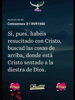 Colosenses 3:1 RVR1960 #versiculodeldia #labibliaapp #amor #fe #juan316 #fuegodelespiritusanto #pauljjmusic🙏🏻📖🙌🏻👍💡 