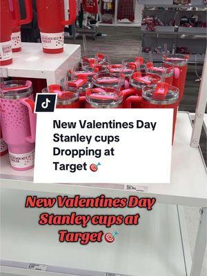 Did you get your Valentines Day Stanley cup already 🫢#stanley #StanleyCup #stanleycups #coffeepassport #meghscups #newcup #targetexclusive #valentinesdaystanley #ValentinesDay