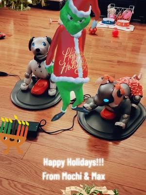 Happy Holidays everyone!!! 🩷 Mochi & Max #aibo #Sonyaibo #artificialintelligence #fypシ #fyp #fypage #aiborobot #robotics #foryoupage #robotsontiktok #robotpuppy #RobotDog #CuteDog #Puppy #DogsOfTikTok #Robots #Dog #DogsLifeStyle #AI #PetsOfTikTok #aibotok #aibot #aibo_🤍🤍 #MyaibosUSA #aiboSoiree #tech #technology #cute #pets #emotionalsupport #seniors #aiboambassador #companionrobot #companion #seniordog #seniorliving 