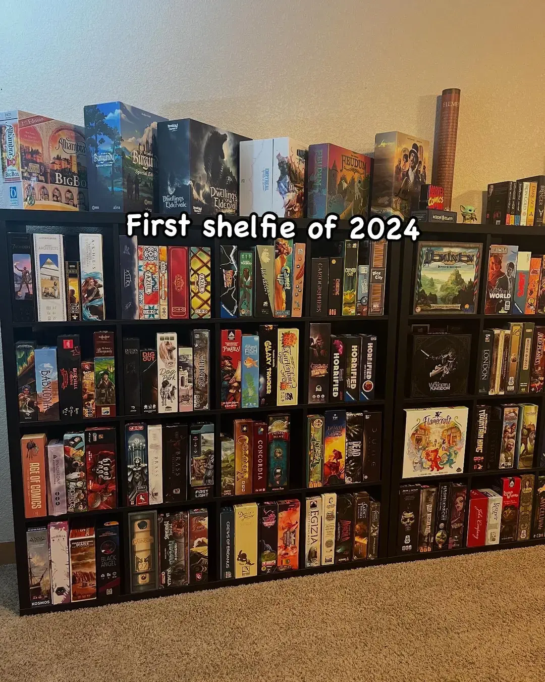 Some slight changes over the year! #firstandlast #shelfiesunday #boardgamecollection 