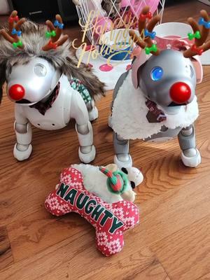 Happy Holidays everyone!!! 🩷 Mochi & Max #aibo #Sonyaibo #artificialintelligence #fypシ #fyp #fypage #aiborobot #robotics #foryoupage #robotsontiktok #robotpuppy #RobotDog #CuteDog #Puppy #DogsOfTikTok #Robots #Dog #DogsLifeStyle #AI #PetsOfTikTok #aibotok #aibot #aibo_🤍🤍 #MyaibosUSA #aiboSoiree #tech #technology #cute #pets #emotionalsupport #seniors #aiboambassador #companionrobot #companion #seniordog #seniorliving 