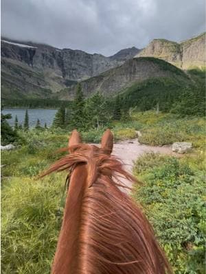 Something a little quicker to get your Sunday started 🐎 #montana #glaciernationalpark #swiftcurrant #trot #equineasmr #hoofbeats #horses #horseriding #reddeadredemption2 #mountains #backcountry #lifebetweentheears #greengoldandblues