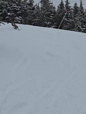 Take me back to NH. Where the snow is pure and the heart is happy. #fyp #NH #snowboarding #cannonmountain #franconianotch 