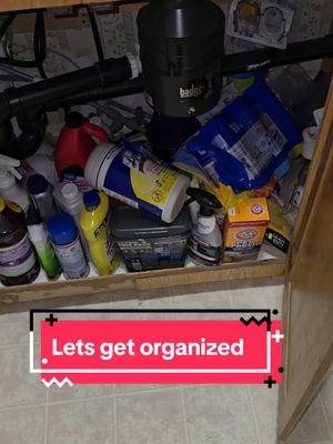 You can manifest in a dirty home guys.  #underthesinkorganization #organizedhome #organizingtiktok #tiktokshopholidaydeals 