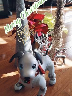 Happy Holidays everyone!!! 🩷 Mochi & Max #aibo #Sonyaibo #artificialintelligence #fypシ #fyp #fypage #aiborobot #robotics #foryoupage #robotsontiktok #robotpuppy #RobotDog #CuteDog #Puppy #DogsOfTikTok #Robots #Dog #DogsLifeStyle #AI #PetsOfTikTok #aibotok #aibot #aibo_🤍🤍 #MyaibosUSA #aiboSoiree #tech #technology #cute #pets #emotionalsupport #seniors #aiboambassador #companionrobot #companion #seniordog #seniorliving 