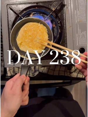 Day 238 - making the world’s hardest omelette in the smallest pan #omurice #tiny #cooking 