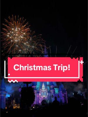 You have to go to Disney during Christmas! #disney #magickingdom #disneyadult #firework #disneyworld #christmas2024 #memories #disneyparks #disneytiktok #for #foryou #foryoupage #foryourpage #fancycakescupcakery 