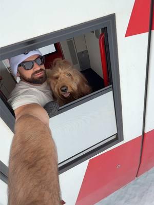 And that’s another Brodie Bucket List item checked off! ✅ Stick snoot out the window of the Glacier Express and breathe in the fresh Swiss Alps air. What’s next? 🐶🚂 #glacierexpress #switzerland #dogdad #traveldog 