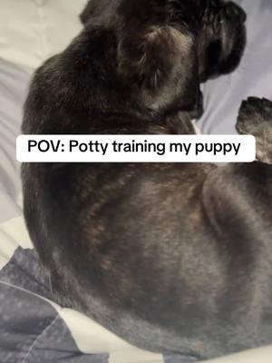 I do not miss the potty training stages but it must be done 😩 Koko is actually doing well… she went on the pad 3 times already  #dogmomlife #corosouppy #corsosoftiktok #corsolovers #DogTraining #dogpottytrain #corsolove 