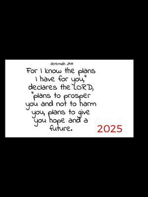 Dear heavenly Father, thank You for the many ideas You’ve placed on my heart for this coming new year. I pray for the FAITH to continue trusting You with 2025 and to trust that Your greater purpose will prevail. Thank You for Your PEACE in all circumstances no matter what path You take me on this season. In Jesus’ Name, Amen. #godisincharge #Thankyoulord #havehope #trustgod #faith #putgodfirst #leanongod #believe 