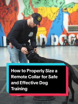 Is your remote collar sized correctly? Proper fit ensures safe and effective communication with your dog during training. It should be snug against the skin but comfortable enough for everyday use. Learn how to size it properly for off-leash freedom. #DogTraining #RemoteCollar #NoBadDogs #DogTrainer 