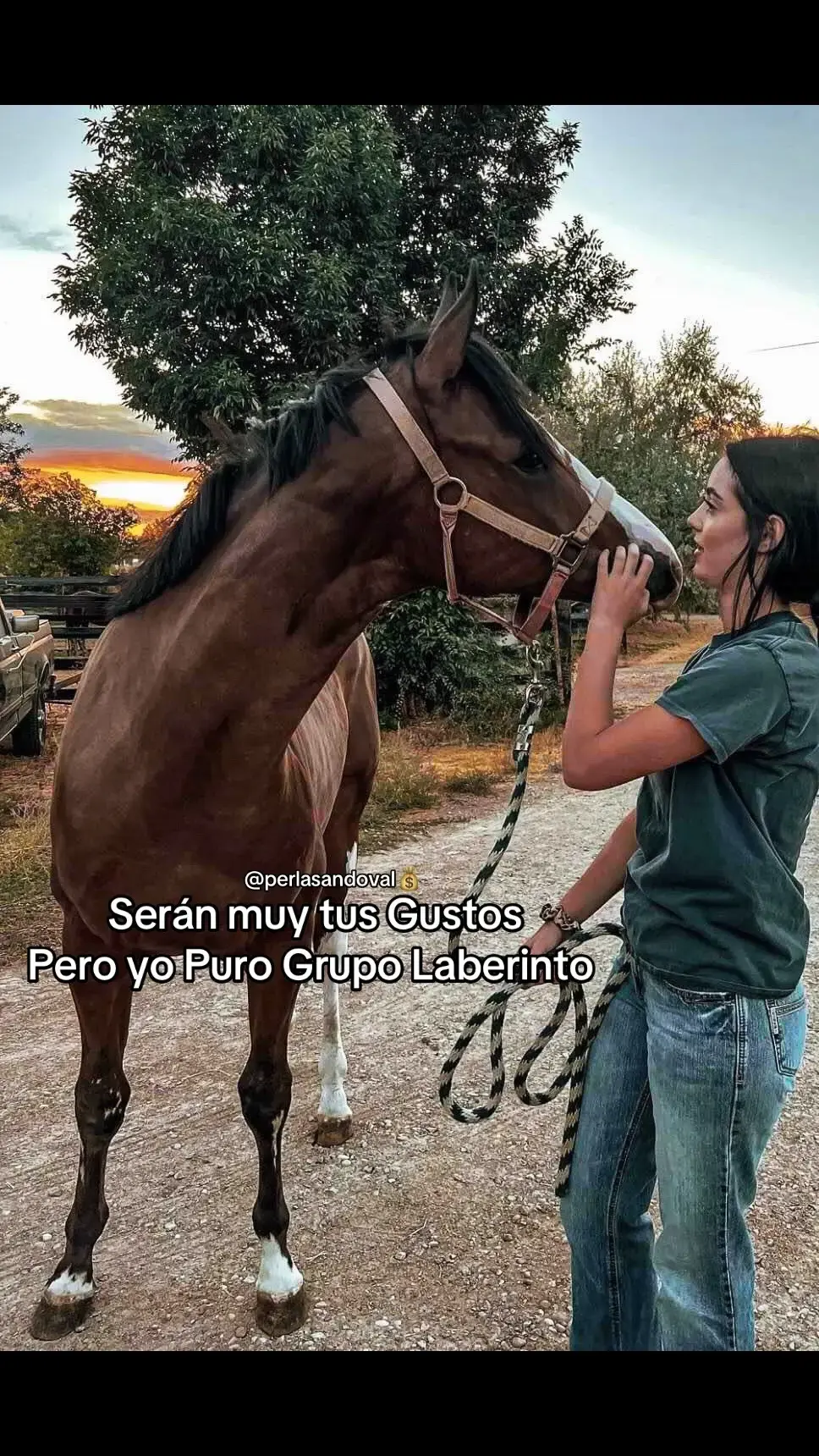 #corridosviejitosperobonitos #reels #viralvideo #fypシ゚viral #dale❤️ #caballos #borrachos_parranderos #carrerasdecaballos @Grupo Laberinto Oficial #frasesdetodo #gustosdeseñorcantinero 