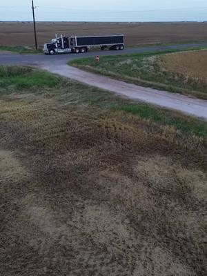 Can be under 21 and drive out of state with us! Please apply for harvest 25 at www.westlakeharvesting.com #w900 #389 #kenworth #peterbilt #case #harvest25 