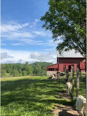 Maybe I’m asking for too much and have my head way up in the clouds per usual but it would be really cool if 2025 felt & looked like The Shire 📖🌷🕊️🧺  . . . . . . #cottagecore #cottagecorefashion #cottagecorestyle #romanticizeyourlife #romanticstyle #fantasyromance #fairycore #faerie #cottagecoreaesthetic #cozycottage #fairycoreaesthetic #slowliving #cottagecorestyle #cottagelife #cottageliving #countryliving #cozy #cottagestyle #cottagegarden #cozyhome #cozystyle #cozyaesthetic #cozyvibes #slowlivingforlife #slowlifestyle #countryside #simplelife #simpleliving #countrylife #farmlife #lordoftherings 