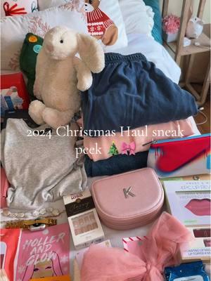 haul coming reallll soon :) #jellycat #brandymelville #ouai #eagles #digitalcamera #christmashaul #clothinghaul #christmas2024 #laylablue #brookieyancey #shabbychicstyle  #whatigotforchristmas 