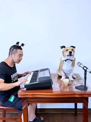 Singing dog#hunds #hund #dogsinging #dogs #dog 