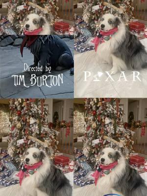 Which one is your favorite? This is the cutest Filter yet!  #capcutfilter #dogfilter #merrychristmas2024 #aussiedog #australianshepherd #CapCut 