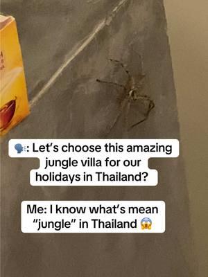 Why I never stay deep in jungle while traveling in Thailand 😂 I used to live at the area surrounded by all creatures people are afraid of, so that’s enough for me 🤪 Are you afraid of spiders? #kohsamui #Thailand #travellife #islandlife #travelasia 