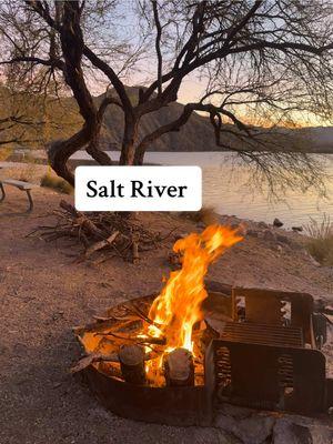 #roadtrip #roadtripvibes #roadtrips #roadtrippin #roadtripusa #ontheroad #snowbirds #snowbirdseason #snowbird #arizonacheck #sonorandesert #campingtrip #campinglife #arizonastateparks #kayaking #saltriver #saltriveraz 