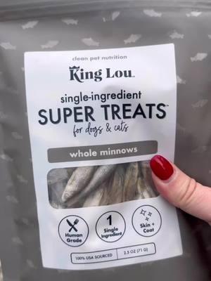 Here fishy fishy! 🐟 @King Lou whole minnow #singleingredient treats are rated 10/10 by Jinx.  #dogtreatreview #singleingredientdogtreats #fishdogtreats 