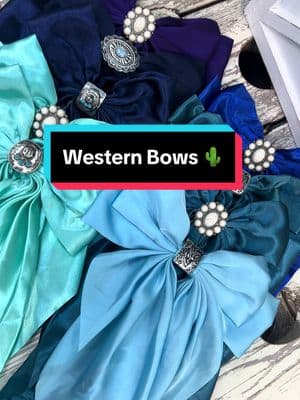 2621 Jacksboro Hwy River Oaks Texas 76114 🌵 #westerncoquette #westernaccessories 