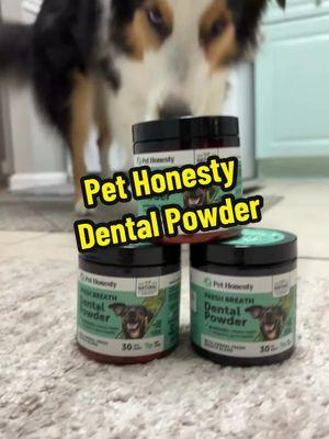 @Pet Honesty has all the supplements for your #dog #pethonesty #petslife🐶 #fypシ #dogsofinstagram #dogtok #dogsoftiktok #finleyandjosie #tiktokdog #jackandfinley #dogdentalhygiene 