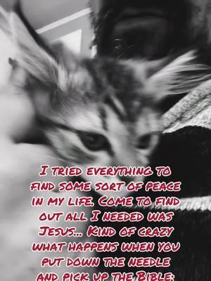 #godsplan #jesuslovesyou #christiantiktok #furbaby #kitten #catdad #selflove #wearenotthrowawaylives #yourstorymatters #WeDoRecover 