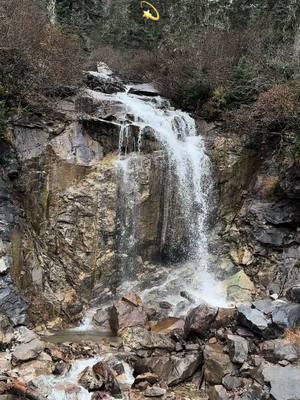 💛💫 #rachgoesgray #silversisters #grayhairandtattoos #grayhairmovement #silversistersinternational #grayhair #grombre #silversisters #silverhair #grayhairgrowout #grayhairtransition #alaska #nature #naturalhair #wilderness #therapy #mountains 