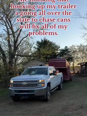 Delulu is a state of mind.🤪#horses#barrelracer#wander#dream#chevy#rodeo#explore  