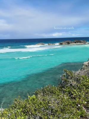 hands down the most beautiful place i have ever been #middlecaicos #northcaicos #dragoncayresort #turksandcaicos #turksandcaicosislands #heaven #paradise #vacation 