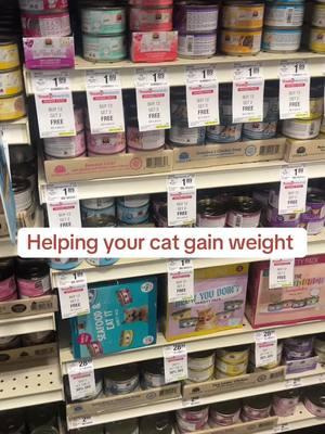 How to help your cat gain weight #catsoftiktok #cat #catadvice #cathealth #catnutrition #felinenutrition #pethealth #petadvice 