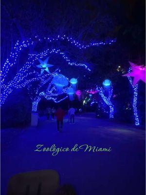 Espectaculo de luces y encuentro con animales exóticos #miamizoo #zoomiami #zoologicos #lights #adivertirse #miamiconhijos #actividadesinfantiles 