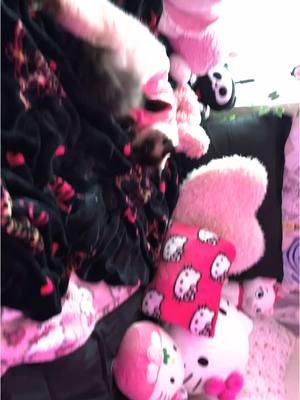 redid the bed since it’s not christmas anymore 🥲🎀 ft. mar mar in her juicy couture 😫 #fyp #trend #pink #pinkvictoriasecret #cute #hellokittylover #hellokitty #plushie #RoomTour #hellokittyplushie #juicycouture #juicy #juicycouturefinds 