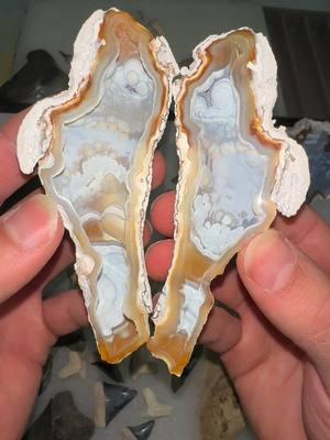 Yeah this ancient fossil coral piece is beautiful, but just wait for the huge ones we have that’ll be cut open very soon! #coral #reef #ethical #SHRKco #ancient #geode #agate #crystal #crystals #fossil #fossilized #coralreef 