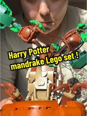 I finished it in like 2.5 hours it was so fun @LEGO #harrypotterlegomandrake #harrypotterfan #legolover #foryoupage #featurethis #foryou #mandrake 