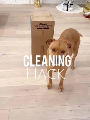 Cleaning Hack✨   I’m all about working smarter not harder and the Shark Steam Pickup hard-floor cleaning system is what I’ve been missing in my house. This 3-in-1 picks up wet, dry, and stuck on debris., scrubs and sanitizes.  It is chemical free and kills 99.9% of bacteria. Best of all it’s on sale today for $50 off! #cleaninghacks #cleaningproducts #cleanhome #refresh #reset #cleanfloors #cleaningtips #cleaningmode 