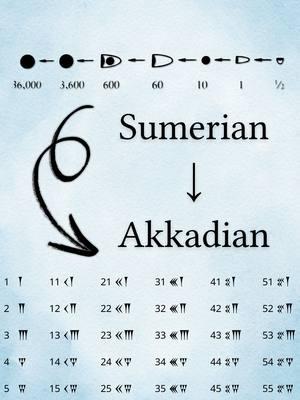 How the world’s first counting system evolved over time. This video was edited the awesome team at @vimerse_media. #counting #math #numbers #cuneiform #history #Mesopotamia #linguistics #language #LingTok #LearnOnTikTok