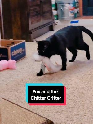 #foxthekitten loves his @SmartyKat Cat Toys Chitter Critter #onthisday #blackcat #cat #inkpanther #housepanther #cattoys #playfulcat @Mairead 