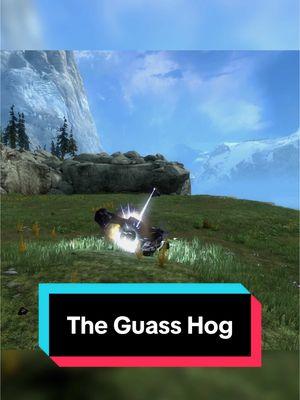 Replying to @legofan111 The Gauss Hog #Halo #halolore #fyp #kammyshep 