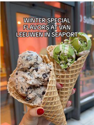 Winter special flavors @Van Leeuwen Ice Cream ❄️ #foryou #fyp #boston #bostonfoodies #bostonsmallbusiness #bostonrestaurant #bostonma #bostonseaport @seaportbos 